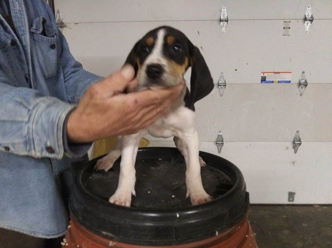 53D114A6-59B1-4E45-8896-28CE520AE28D