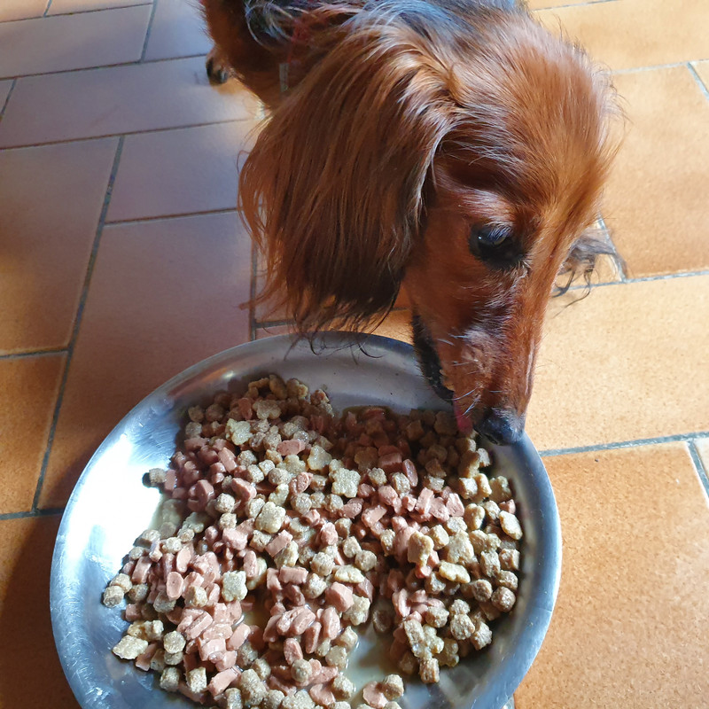 [Image: 20210518-101937.jpg]