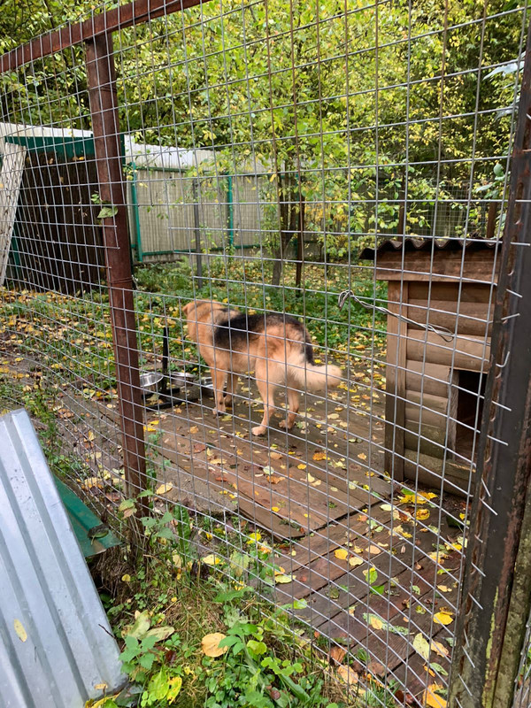 89DAA538-BF74-412C-A6EF-BF72445C7A04