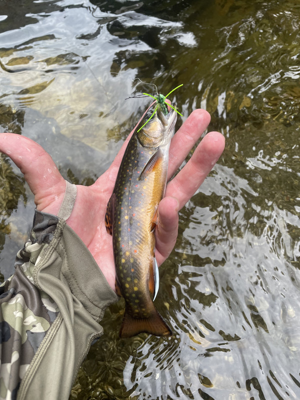 0B3F488C-C61C-4A3A-8F98-AEE109AD1751