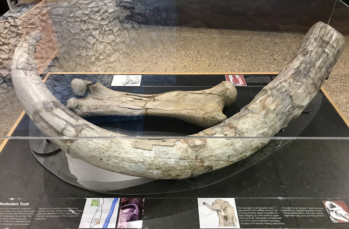 9C84E6E3-41B9-4CC3-B40D-94CB3262F919