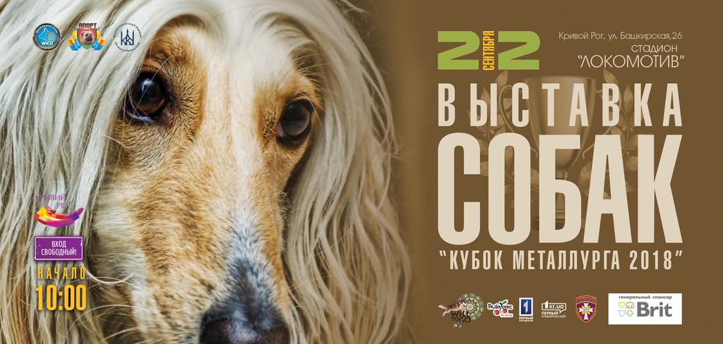 флаер 1 сторона