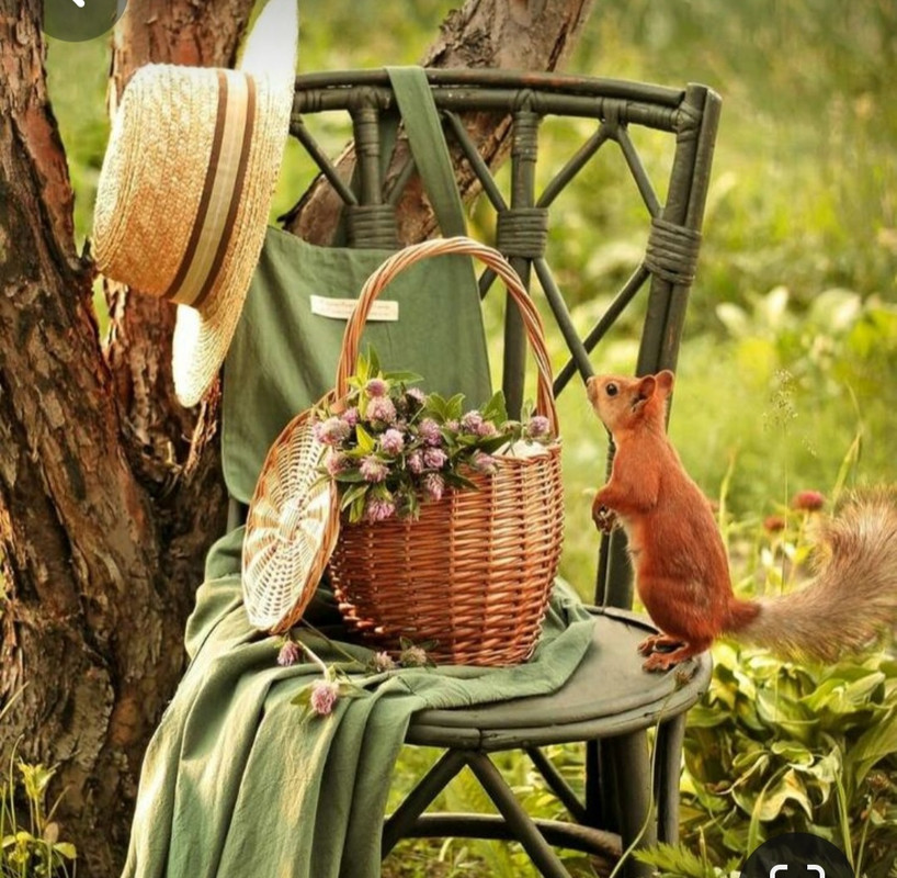 Screenshot_20240404_202935_Pinterest