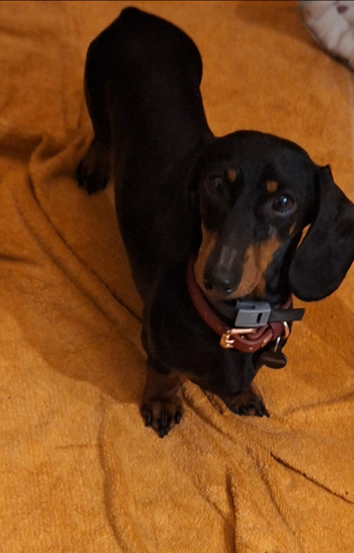 [Image: 20250314-200036.jpg]