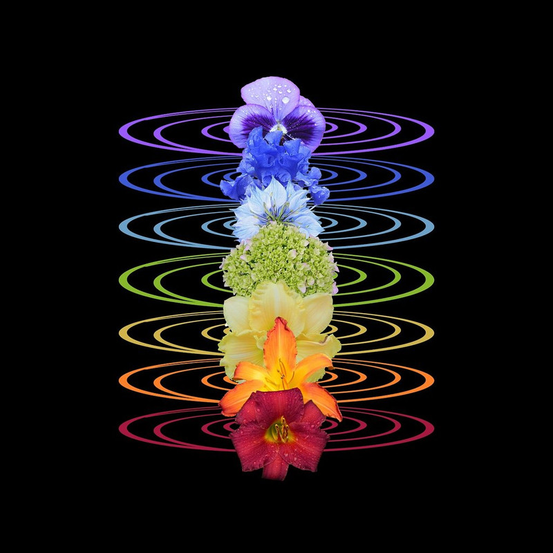 multi-flowers-9193254-1280.jpg