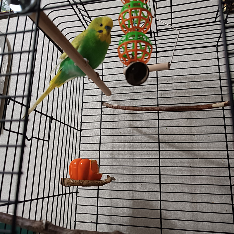 IMG_20250904_212554