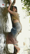easy-gif1785059924896.gif