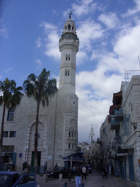 SDC13511