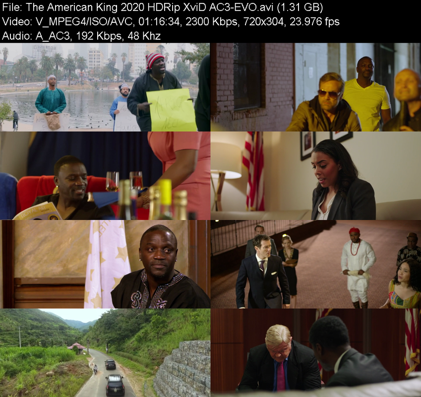 the-american-king-2020-hdrip-xvid-ac3-ev