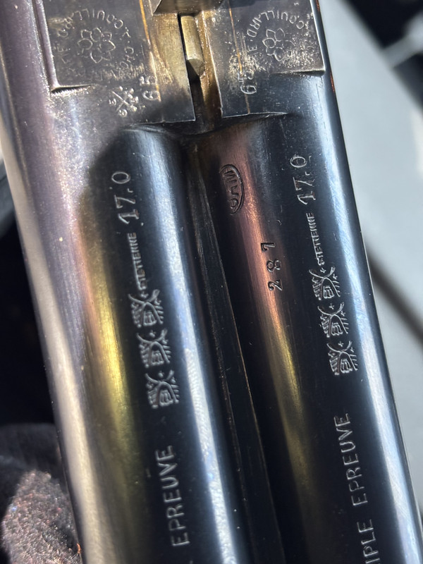 [Linked Image from i.postimg.cc]