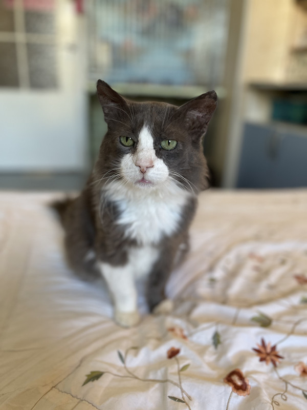 4D0D08FD-979F-417F-8F11-456BF7260696