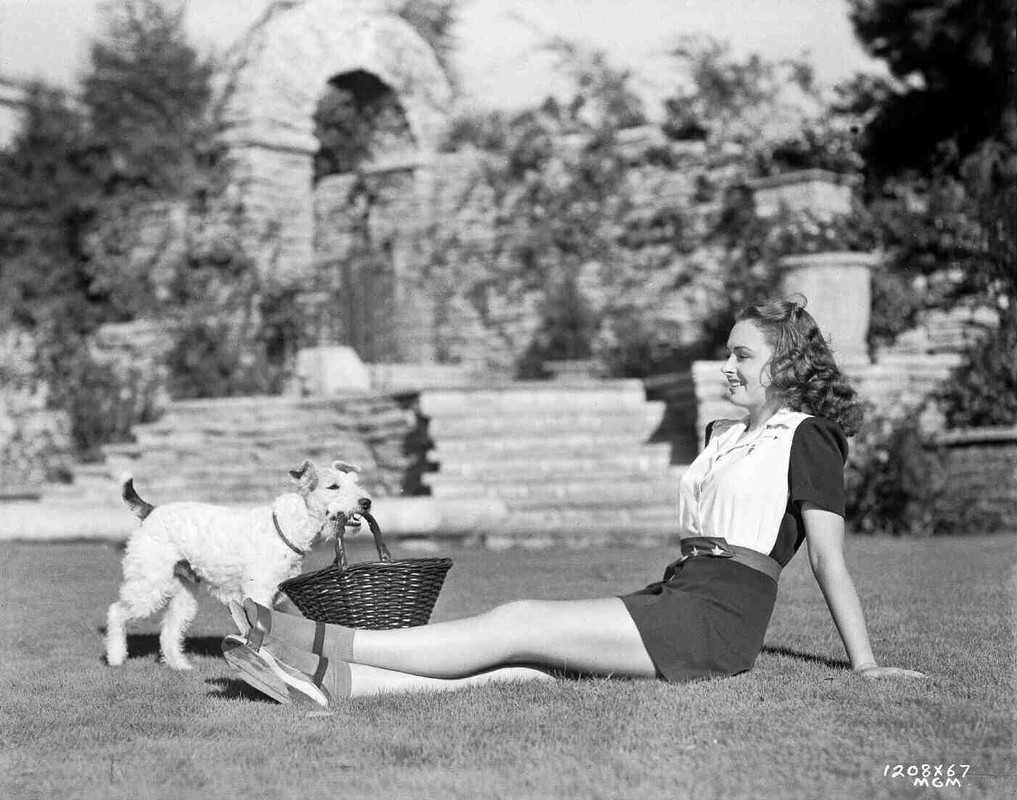 donna_reed_b39