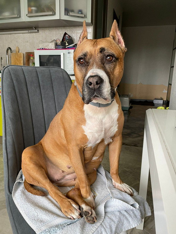 DDB28A2B-EE36-4345-A902-8D7E443AD11B