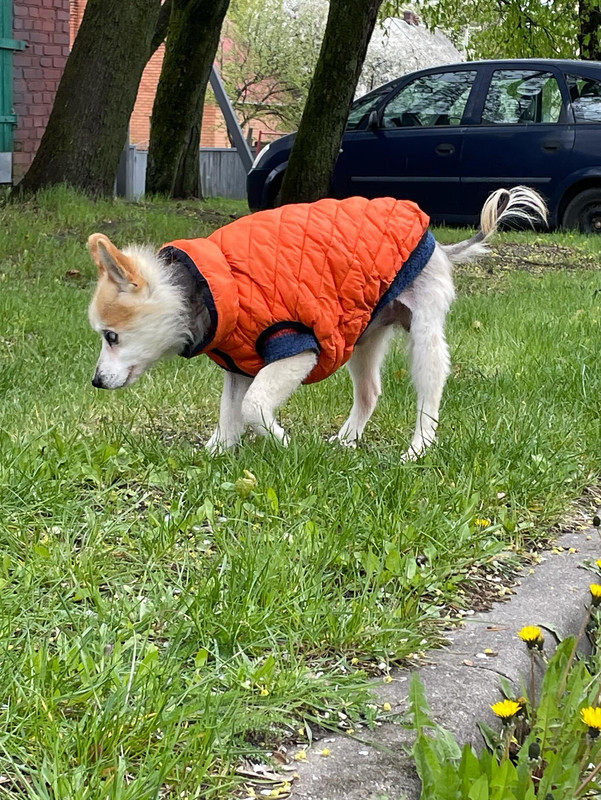 A77966CC-AC1C-4D71-AE7F-43FE05A7BF07