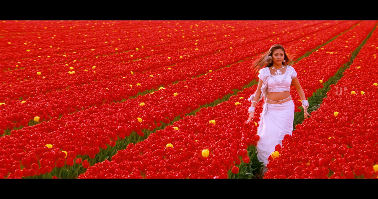 VideoCapture_20241122-195137