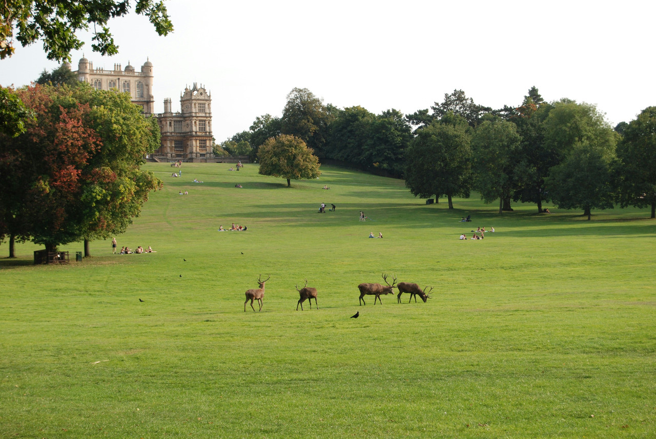 Wollaton Park Nottingham