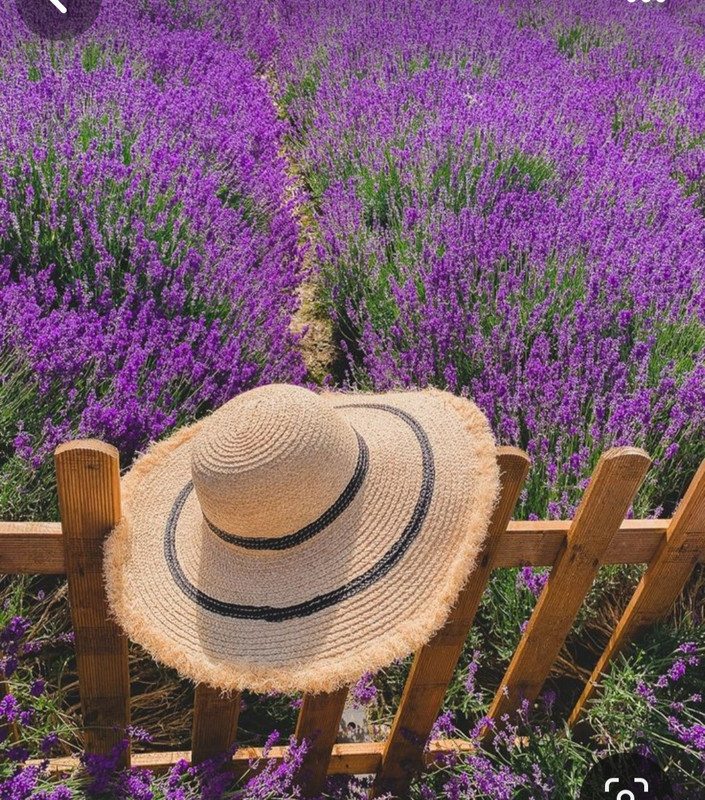 Screenshot_20240331_154315_Pinterest