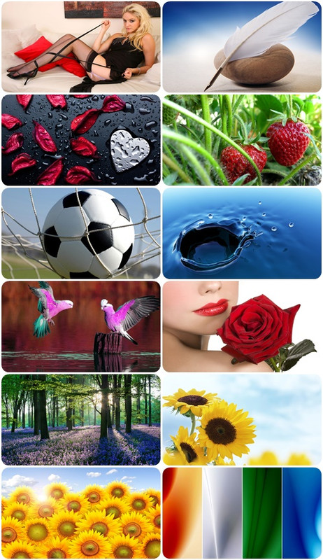 Beautiful Mixed Wallpapers Pack 1009