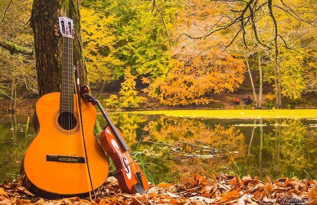 Screenshot_20231207_154503_Instagram