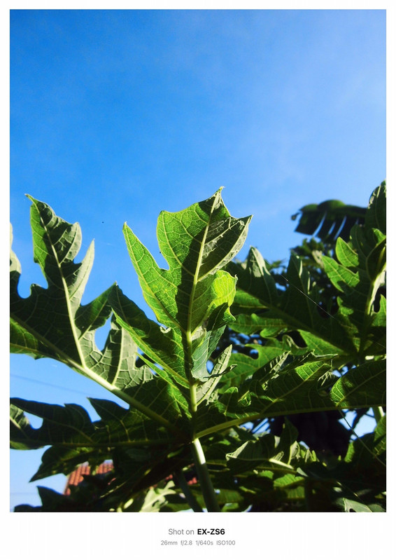 photo 22 2025 12 14 22 01 24