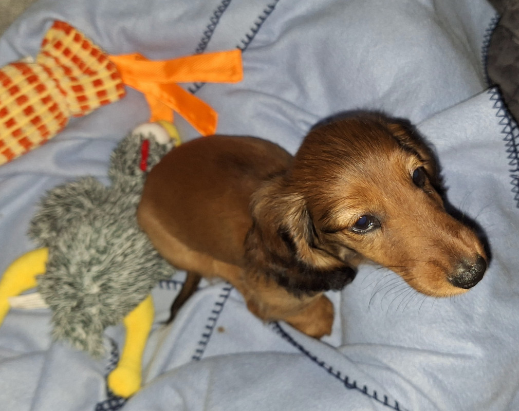 [Image: 20240906-204214.jpg]