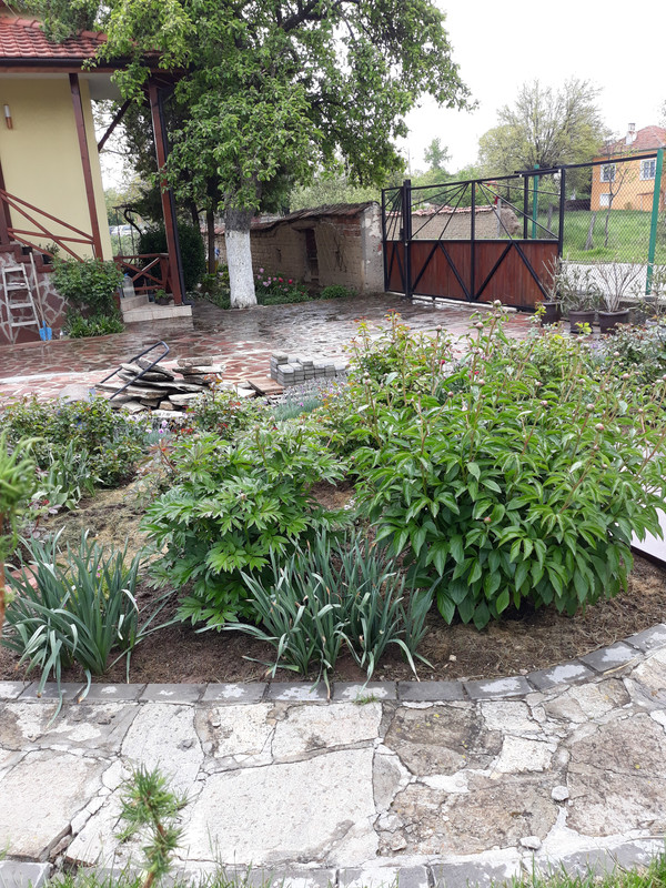 20190510_102223