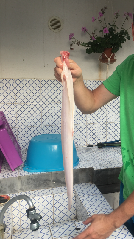 3090BDCE-03C1-4A70-A388-2FC28467C78D