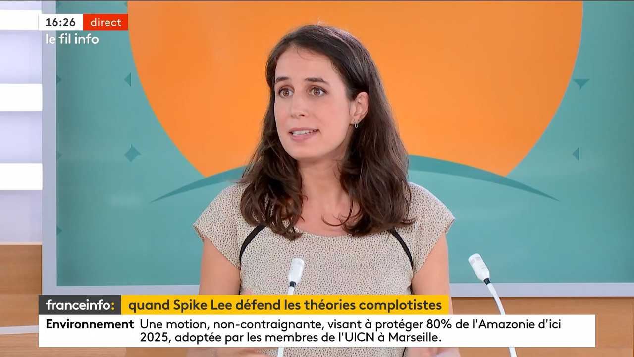 09.10 - 12.59.00 - Le fil info 14h-17h. Au sommaire   Vrai ou fake. -..._002.ts_snapshot_20.39.586