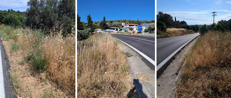CHIOS
