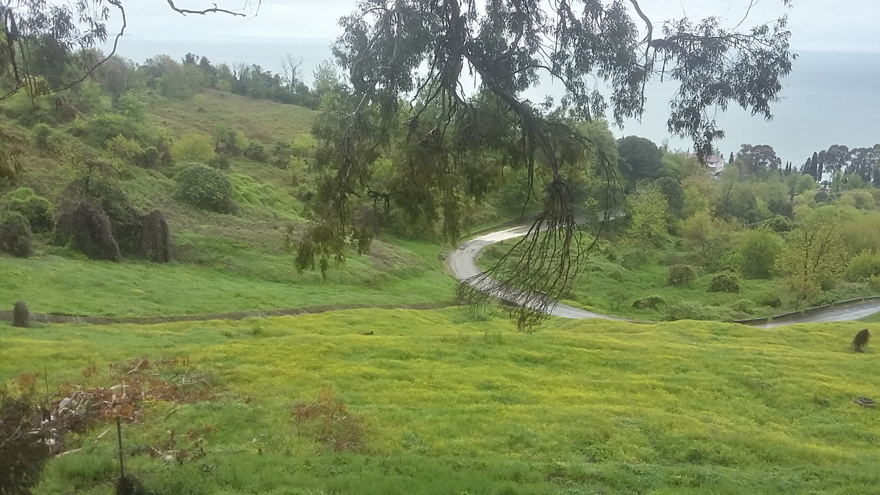 20220502_104359_Richtone(HDR)