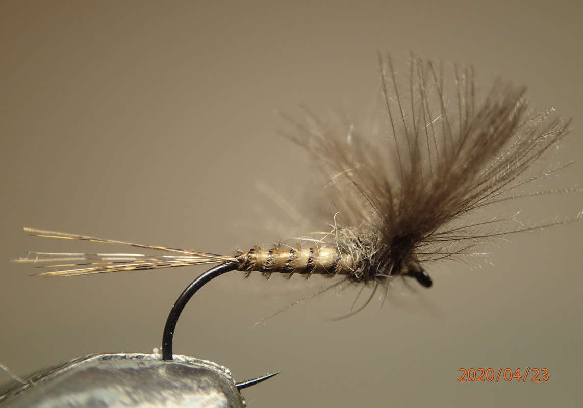 E35A327D-5459-4CB6-A83B-B8318D960931