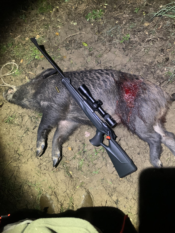 E37A51A2-2213-422B-AD41-670810503F10