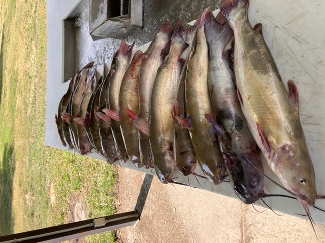 4CE07DD4-7DCE-4FAC-838A-F8AE7DFBB6E6