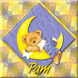Pam_SleepingontheMoon