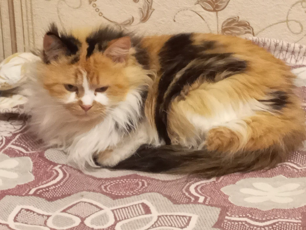 photo_2025-02-24_22-28-52