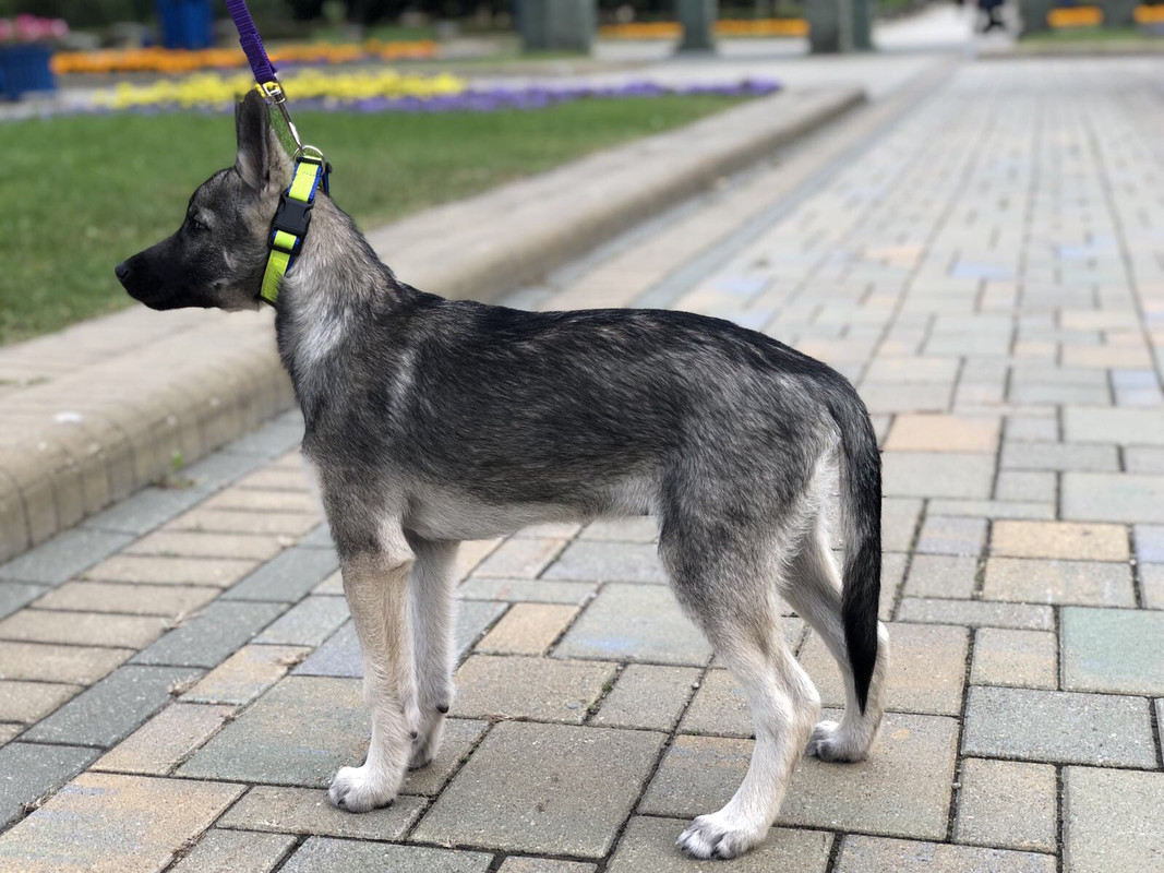 C7B334F3-1A1F-4D95-A7E2-BDCC9BDDAED9