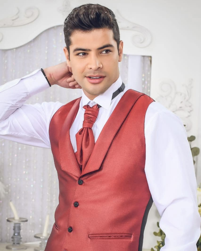 Chalecos elegantes para Novios o Padrinos (3)