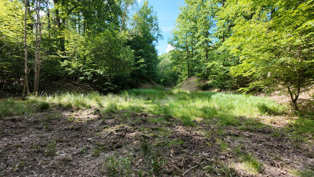 05.14 - DJI_20250619161837_0090_D (Czesio1)