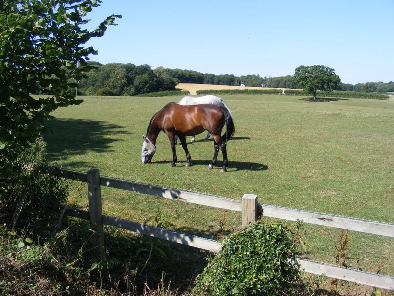 DSCF0284-jpg-original.jpg