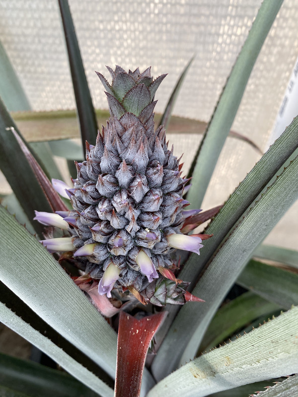 4AC821F6-B92A-412F-9601-1707E2EE2727