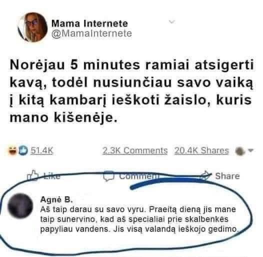 Paveikslėlis