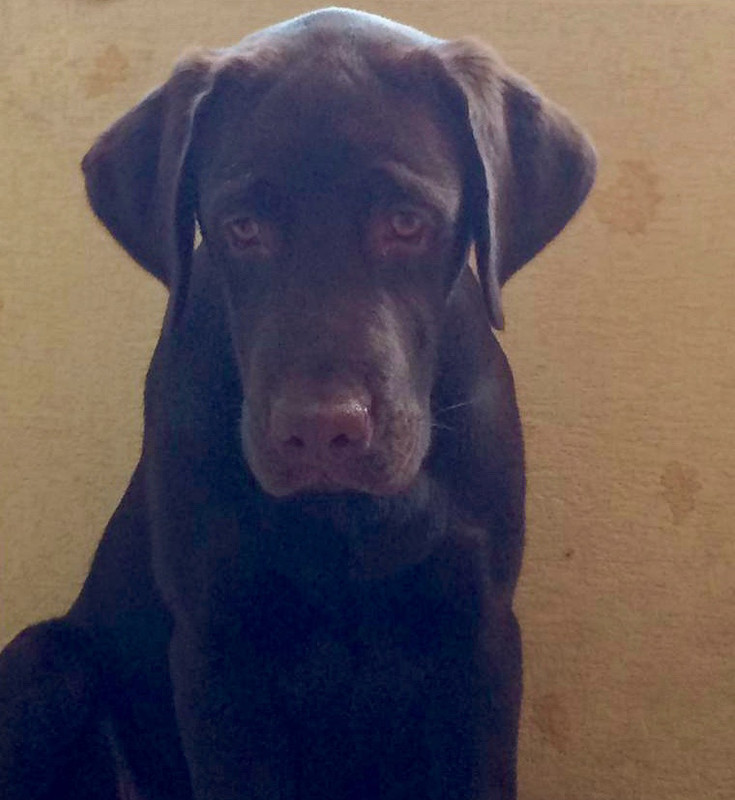 3B7B5D39-EE2F-4066-A3A5-5FBA8A82F872