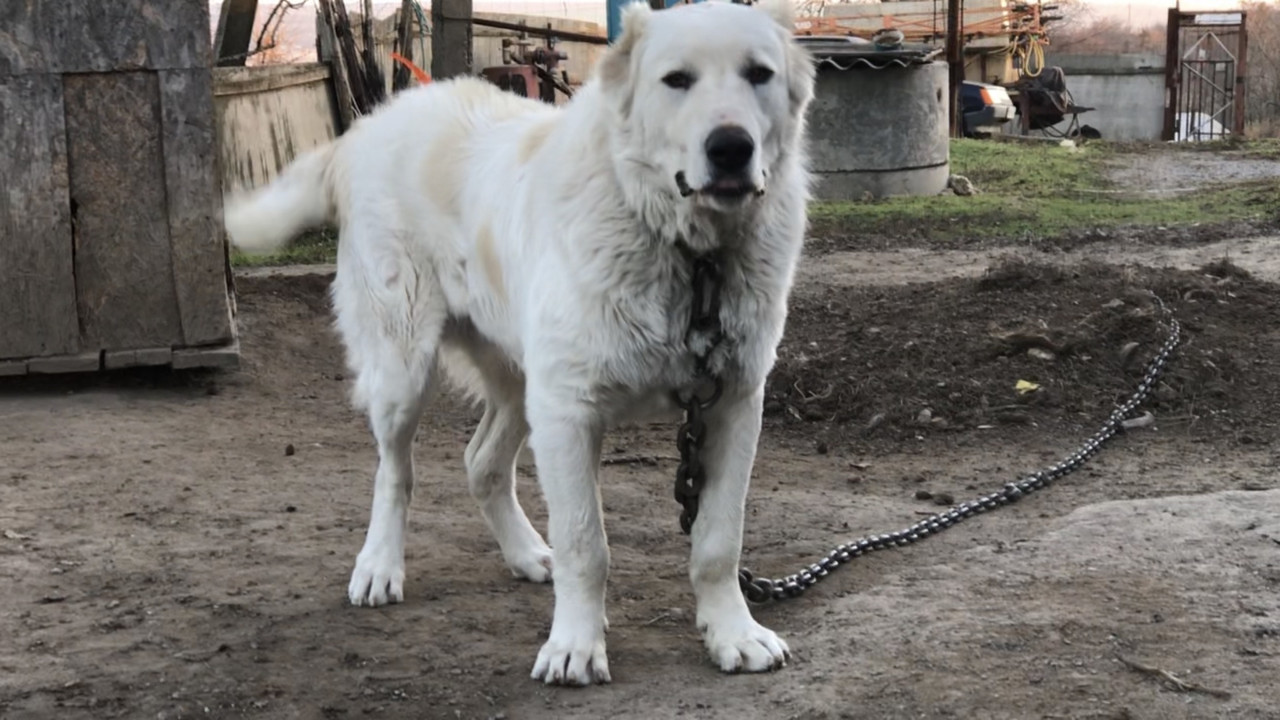 0C766FC8-E16E-45D8-B153-6EC272428176