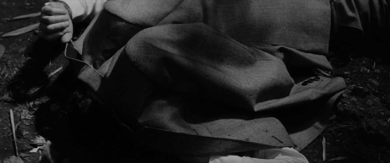 vlcsnap-2025-01-21-02h30m07s645