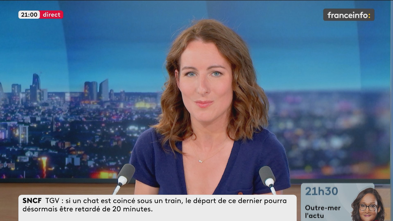 Le 21h-22h (Franceinfo)_2025_05_16_19_50_96.ts_snapshot_10.45.932