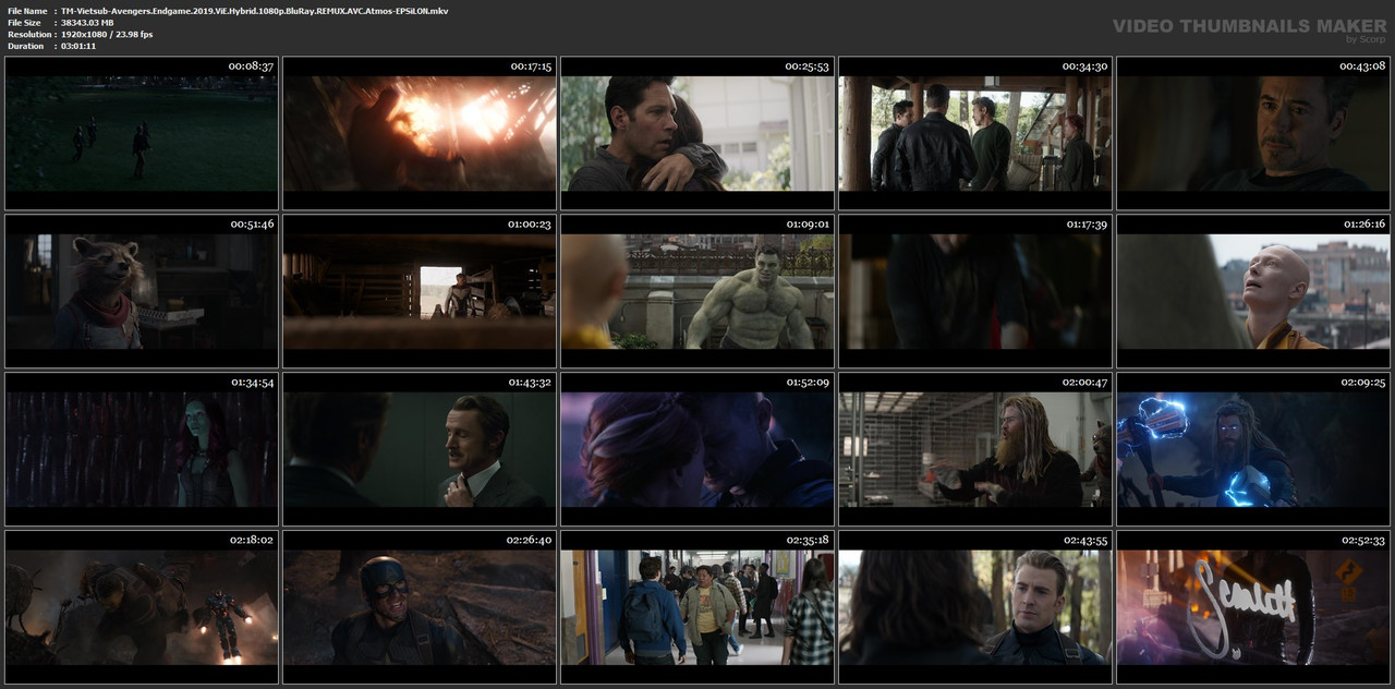 TM-Vietsub-Avengers-Endgame-2019-Vi-E-Hybrid-1080p-Blu-Ray-REMUX-AVC-Atmos-EPSi-LON-mkv.jpg