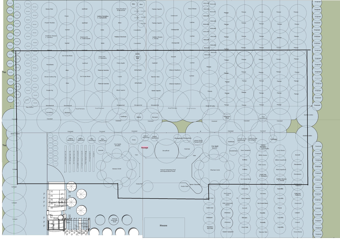 irrigation plan