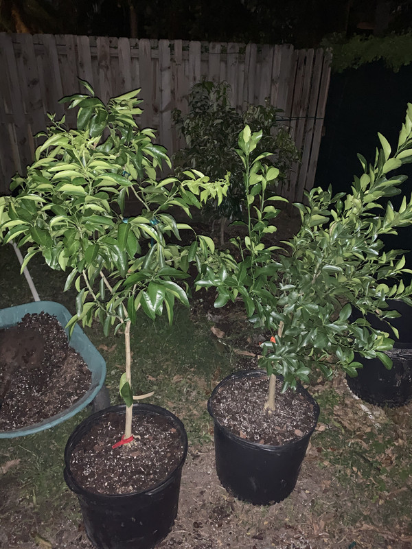 0BC18890-74F1-46BD-A351-5E708612DFD6