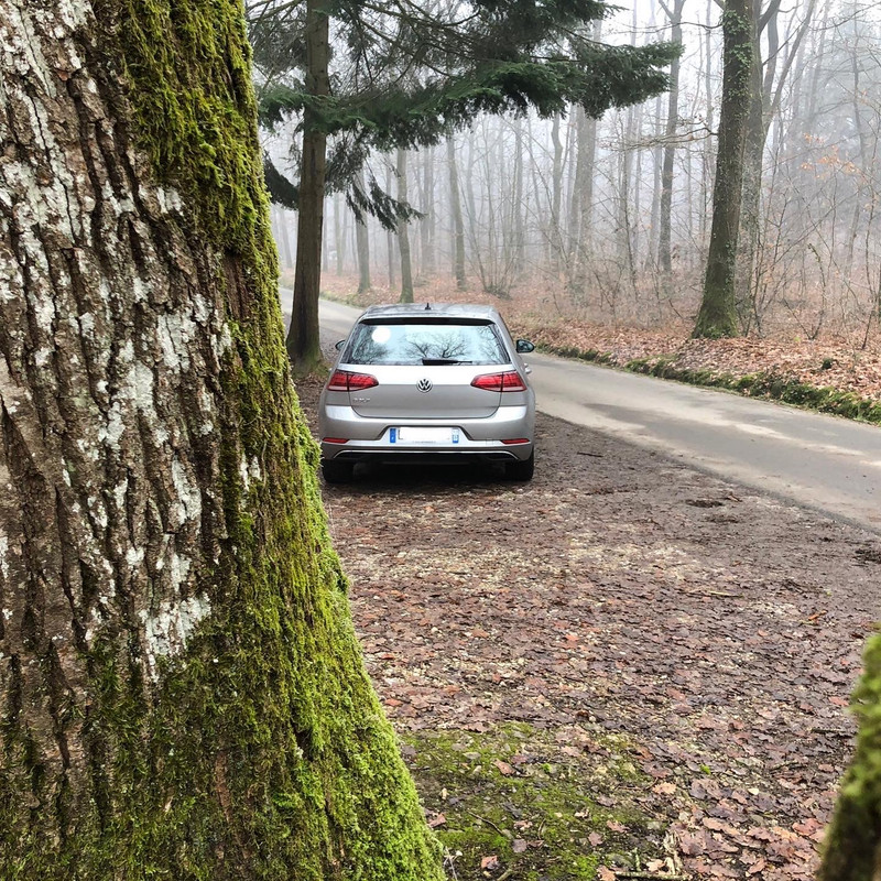 FDC56BCE-7A91-45F2-8CC2-454D8046AED9