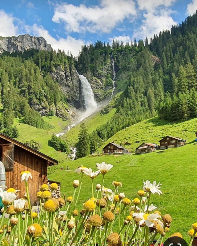 Screenshot_20240320_231131_Pinterest